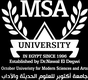 MSA University