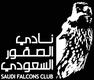 Saudi Falcon Club